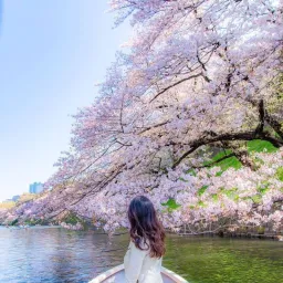 Japan grils 7