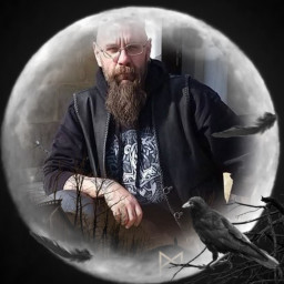 Heiko Krohn avatar